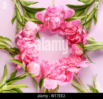 Frame made of beautiful peonies on color background Stock Photo