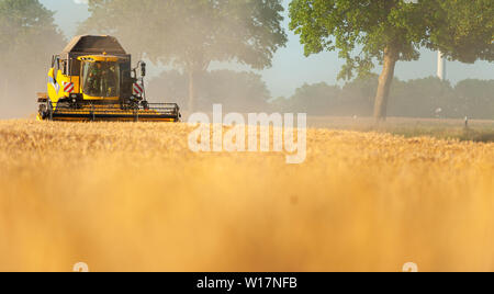 Wrestedt, Germany. 28th June, 2019. A farmer harvests barley in a field with a combine harvester. Lower Saxony's farmers expect rather average results for the grain harvest beginning in these days. (for dpa 'Grain harvest in Lower Saxony begins') Credit: Philipp Schulze/dpa/Alamy Live News Stock Photo