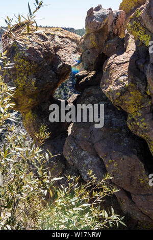 Trees grow on rock formations of sandstone and rhyolite in the Chiricahua National Monument in Southeastern Arizona, USA. Stock Photo