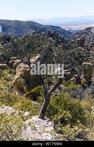 Rock pinnacles afford grand views of snow covered peaks and the valley below in Chiricahua National Monument in Southeastern Arizona. Stock Photo