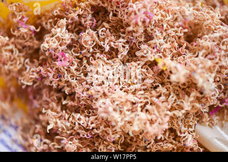 Color pencils shavings / Close up wood crayons shavings sharpener sawdust Stock Photo
