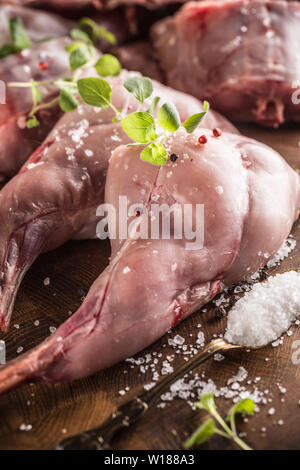 Raw rabbit legs salt pepper and herbs on butcher board Stock Photo