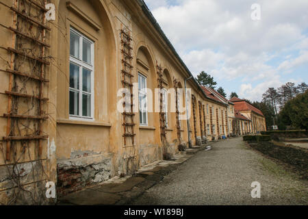 SIBIU, ROMANIA - March 13, 2010: Detail of the windows of the old Brukenthal Avrig Palace in Romania. Stock Photo