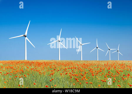 Graphic modern landscape of wind turbines aligned in a poppies field Stock Photo