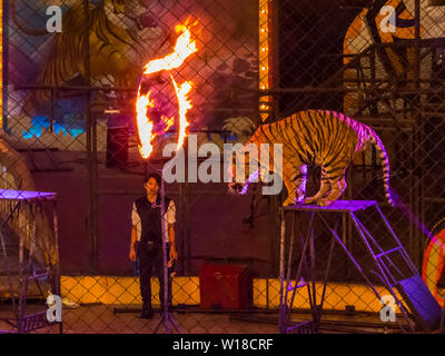 View of the Tiger Show in Sriracha Tiger Zoo, Pattaya, Thailand Stock Photo