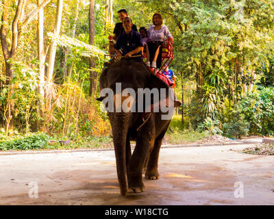 Elephant riding in Sriracha Tiger Zoo, Pattaya, Thailand Stock Photo