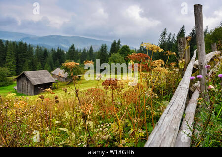 An old hut in the Carpathians mountains. Autumn day Stock Photo