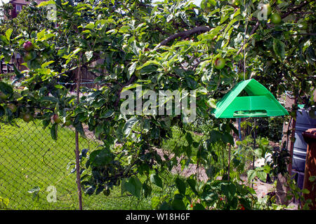 Mottenfalle Moth Trap Klebefalle Stock Photo - Download Image Now