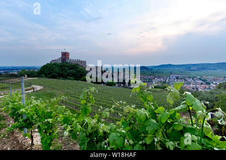 The Scaligero castle and the Soave wine vineyards. Soave, Verona province, Veneto, Italy, Europe. Stock Photo