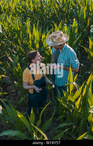 Female agronomist with tablet computer advising corn farmer in cultivated crop field, high angle view from drone pov Stock Photo