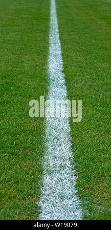 Painted white line on empty soccer grass field Stock Photo