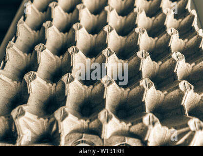 Open Empty Cardboard Egg Container Box, Farm Egg Tray Carton Grid Background, Egg Packaging of Product Protection Stock Photo