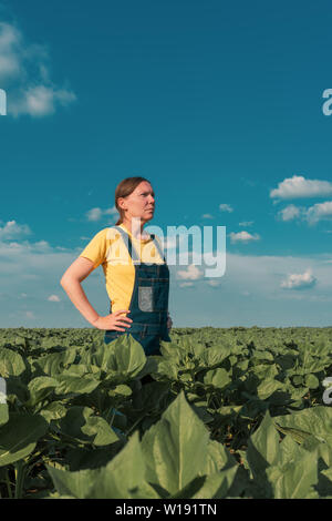 Sunflower farmer posing in field. Female agronomist is standing in young Helianthus annuus plantation. Stock Photo