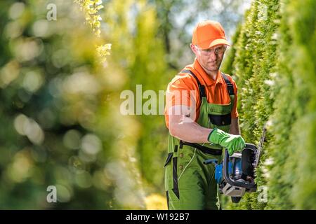 Professional Gardener in His 30s Trimming Green Shrub Wall Pro Equipment in a Garden. Stock Photo