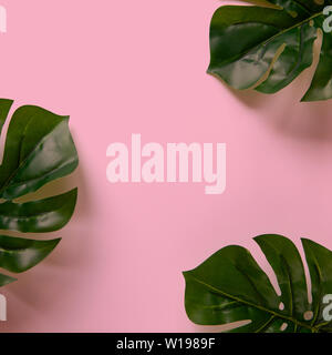 Frame of Monstera leaves on pink background with copy space. Minimalism flat lay. For lifestyle blog, book, article, social media. Square format Stock Photo