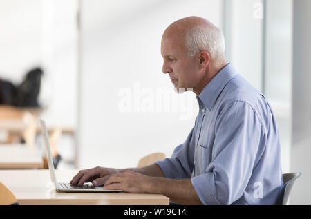 Senior businessman engrossed in his work seated at a table typing on a laptop or surfing the web in a profile view Stock Photo