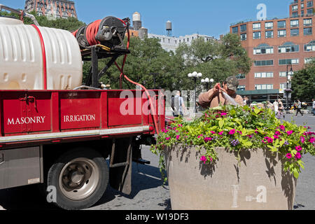 A man waters the plants on the perimeter of Union Square Park from a truck with a water tank and hose. In Manhattan, New York City. Stock Photo