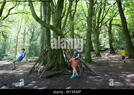A father pushes his young son on a woodland swing in Ecclesall Woods, on 29th June 2019, in Sheffield, England. Stock Photo