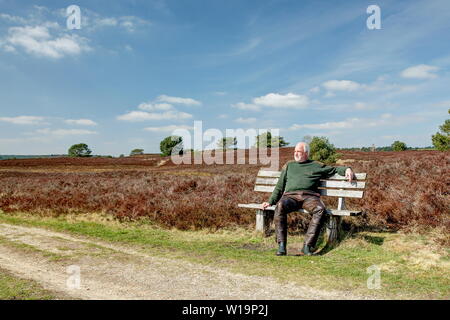 A hiker takes a break on a wooden bench in the Lueneburg Heath. The nature reserve is an ideal hiking area. Marked trails lead through the landscape. Stock Photo