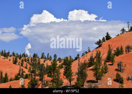 Rock formations in Southwestern Utah, USA Stock Photo