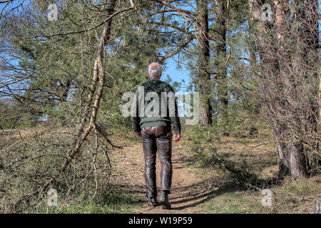 The sky is blue and cloudless, a lonely hiker walks along the narrow path through the forest. Hiking in the Lüneburg Heath is a great experience. Stock Photo