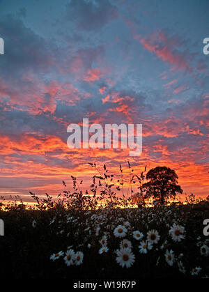 Sky on fire Stock Photo