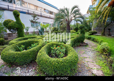 Green peacock topiary of boxwood in sunny park close Stock Photo