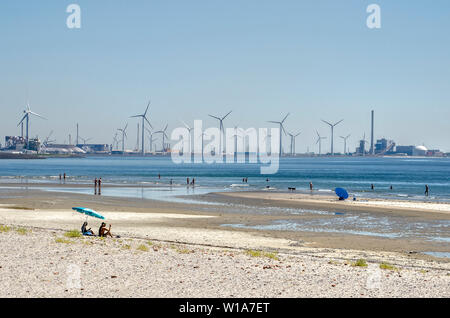 Vlissingen, The Netherlands, June 29, 2019: beach at the coast of Westerschelde estuary on a sunny day with in the background the Sloe industrial zone Stock Photo