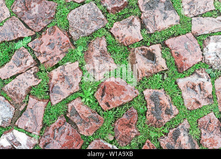 Background of old red cobblestone pavement wet after the rain with bright green grass in the seams. Top view. Stock Photo