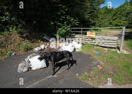 garden waste fly tipping