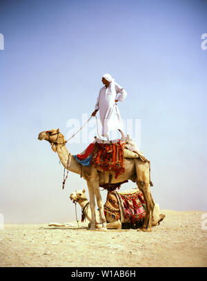 Man standing on his camel's back in the desert Stock Photo