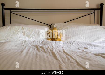 An old teddy bear lies on a crumpled white duvet on a double bed with black iron headrest with pale wall. Landscape orientation with space for copy Stock Photo