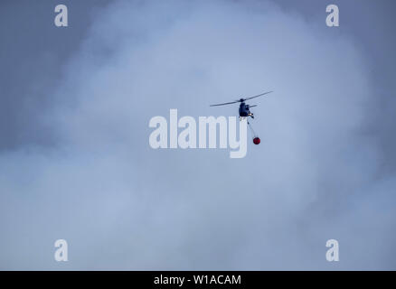 Alt Jabel, Germany. 01st July, 2019. A helicopter of the Federal Police transports extinguishing water to a source of fire near the evacuated town of Alt Jabel. Due to the fire at the former military training area near Lübtheen in Mecklenburg-Vorpommern, hundreds of people had to leave their homes. Credit: Jens Büttner/dpa-Zentralbild/ZB/dpa/Alamy Live News Stock Photo
