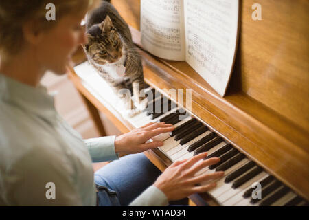 Woman playing piano with cat Stock Photo - Alamy