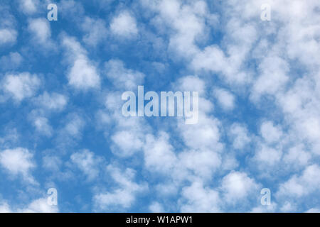 Autumn sky with small fluffy sky. Stock Photo