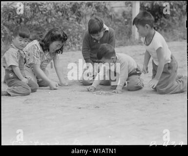 Arcadia, California. Like all youngsters in this country, children of Japanese ancestry enjoy a gam . . .; Scope and content:  The full caption for this photograph reads: Arcadia, California. Like all youngsters in this country, children of Japanese ancestry enjoy a game of marbles. An evidence of how completely western is the new generation, they even all allow the women folk to participate. Stock Photo