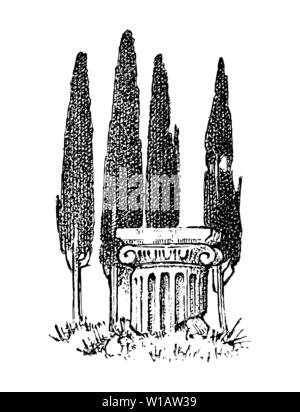 Cypress trees in Greece. Greek style antique column. Hand drawn engraved vintage sketch for poster, banner or website. Stock Vector