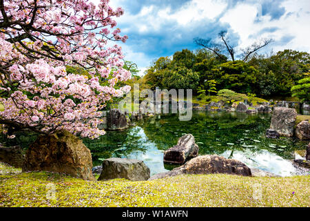 Ninomaru pond and graden and gardens with cherry blossom trees next to Ninomaru Palace inside the Nijo Castle complex, Kyoto, Japan Stock Photo