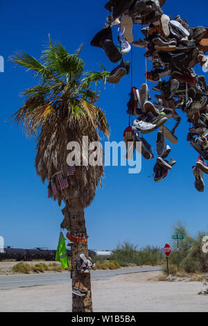 A palm tree besides and Old Shoe Fence on demolished Gas Station on Highway 62, Rice, California, USA Stock Photo