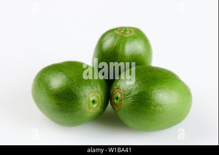 Raw green coffee beans isolated close up view Stock Photo