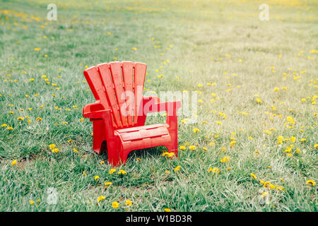 One red wooden plastic muskoka Adirondack chair standing on green grass among yellow dandelion flowers in park outside on spring summer day. Concept o Stock Photo