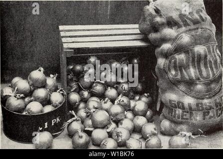 Archive image from page 42 of A descriptive list of vegetable. A descriptive list of vegetable varieties . descriptivelisto1946ferr Year: 1946  SEED GROWERS 39 ONION In our selecting operations particular attention is paid to ripening down and keeping quality. Our bulbs are subjected to a long storage period to eliminate any occasional poor keeping individuals before planting the mother bulbs in the spring for stock seed. The trials of onion, at our Experimental Gardens near Detroit, are always planted about May 1st. The earlier varieties such as Early Yellow Globe are always fully mature in 1 Stock Photo