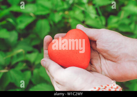 people, relationship and love concept - close up of mans hands holding red heart on green background Stock Photo