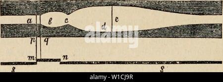 Archive image from page 665 of Dictionnaire de physiologie (1913). Dictionnaire de physiologie . dictionnairedeph09rich Year: 1913  8 S vvuvuvvvvvnnnnnrinnnnnn/v La figure i06 reprÃsente, d'api'Ã¨s Braunstein, le type de la dilatation directe (chez le chat curarisÃ). En a est la pupille resserrÃe par suite de la section du sympathique. De m en n, tÃtanisation du sympathique pendant deux secondes. AprÃ¨s une pÃriode latente de 0,41 secondes, la pupille commence Ã se dilater. Le maximum de la dilatation arrive aprÃ¨s 1,8 secondes. AprÃ¨s cessation de l'excitation, la pupille, dilatÃe au maxi- m Stock Photo