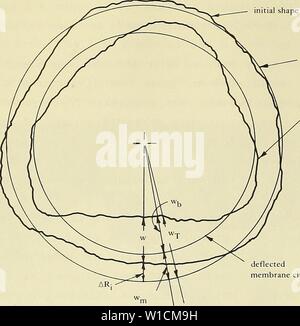 Archive image from page 69 of Design for implosion of concrete. Design for implosion of concrete cylinder structures under hydrostatic loading . designforimplosi00hayn Year: 1979  initial shape    initial membrane circle deflected shape deflected membrane circle w = displacement from initial to deflected shape Wj = displacement from mem- brane behavior Wu = displacement from bending w-j. = total displacement ARj = initial deviation in inside radius Figure B-17. Definition of displacement terms. When a deflected shape was plotted the reference point was the location of the center shaft that hel Stock Photo