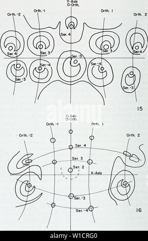 Archive image from page 73 of The developmental anatomy of Isoetes. The developmental anatomy of Isoetes . developmentalana31paol Year: 1963  Orth.-2 Orth. I Orth. 2    Figs. 15 and 16. Outlines of roots and locations of root traces in transverse sections of a plant of moderate size. X 50. Figure 16 is at a higher level in the plant than figure 15. The basal furrow runs from left to right so that the drawings can be viewed in a standardized position on the x- and y-axes. Series of roots are numbered according to information obtained from a study of serial sections. Other sections in the series Stock Photo