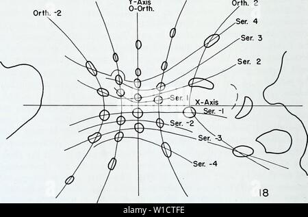 Archive image from page 75 of The developmental anatomy of Isoetes. The developmental anatomy of Isoetes . developmentalana31paol Year: 1963  Orth. -I Y-Axis Orth. I Orth. -2    Figs. 17 and 18. Transverse sections in the same series as figures 15 and 16, at higher levels in the plant. X 80. Fig. 17. A level near the basal meristem. The traces are crowded. The series no longer converge with the x-axis. Fig. 18. At the level of the recent derivatives of the basal meristem. All of the primordia within the youngest series are recorded within the limits of orthos- tichies —2 and 2. The series dive Stock Photo