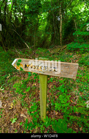 Short Distance Path. Pagoeta Natural Park. Aia Valley. Gipuzkoa. Basque Country. Spain Stock Photo