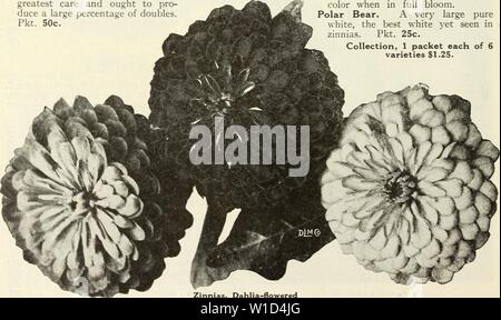 Archive image from page 9 of Descriptive catalogue of vegetable and. Descriptive catalogue of vegetable and flower seeds . descriptivecatal1926john Year: 1926  Mignonette, Giant Red SALPIGLOSSIS superbissima. Giant strains, mixed. Pkt. 50c. SCABIOSA Giant Fire King. Selected strain. Pkt. 50c. STOCK Giant Beauty of Nice. Lavender-pink, white This seed is selected with the greatest care and ought to pro- duce a large percentage of doubles. Pkt. 50c. ZINNIAS GOLD MEDAL DAHLIA-FLOWERED Exquisite. Light rose with center a deep A striking color of deep rose. rose witn center a deep rose. Pkt. 25c. I Stock Photo