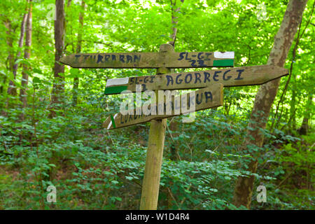Short Distance Path. Pagoeta Natural Park. Aia Valley. Gipuzkoa. Basque Country. Spain Stock Photo